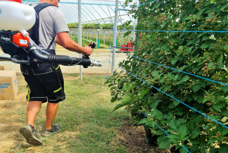 expoSE 2025: Neues Präzisionssprühgerät für Nützlingsausbringung ohne Streu- und Rieselverluste