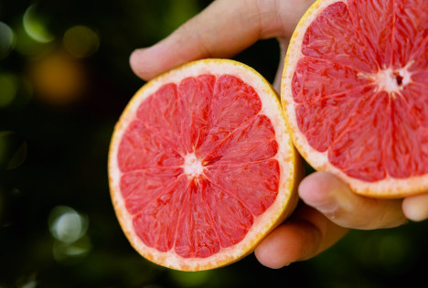 Südafrikanische Erzeuger bündeln ihre Kräfte für Anregung der Grapefruit-Nachfrage in Europa
