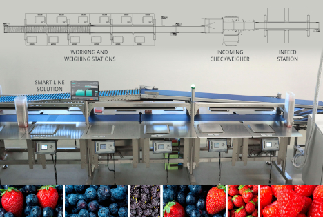 expoSE 2025: Innovative Lösung für das Packen und Verwiegen von Beeren