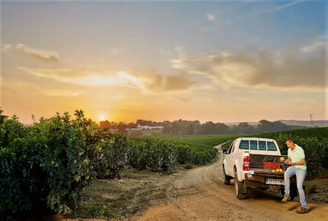 Nachhaltigkeit trägt Früchte – 10 Jahre Zitrusprojekt von EDEKA und WWF