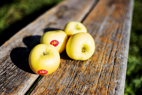 yello® ist zurück im Regal: Der gelbschalige Apfel für das Premiumsegment