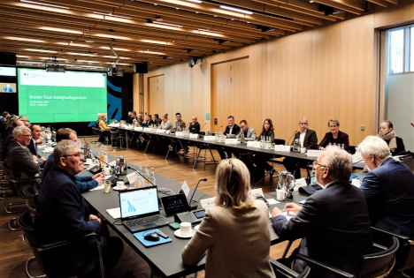 ZVG/BfG: Runder Tisch zur Schilf-Glasflügelzikade - Deutschland in der Verantwortung