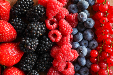 Schweiz: Brombeere, Heidelbeere, Himbeere, Johannisbeere, Stachelbeere - Aromatische Alleskönner