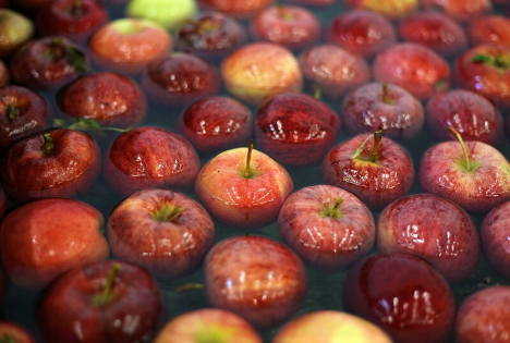 Schweiz: Früchte- und Gemüseabsatz auf Rekordniveau