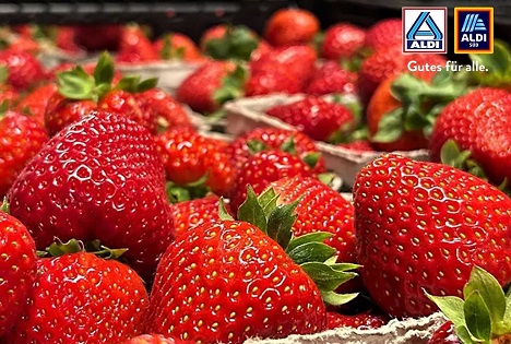 Regionale Erdbeeren: Frisch vom Feld in die ALDI Nord Filialen