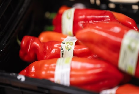 „Mit jedem Bio-Einkauf Zukunft säen“: ALDI SÜD fördert Ernährungsbildung an Schulen