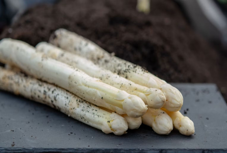 ALDI SÜD startet mit deutschem Spargel in die Saison