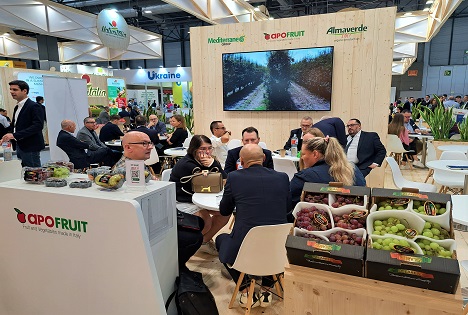 Apofruit Group kehrt zur Fruit Attraction zurück – Fokus auf Internationalisierung