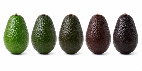 Catalytic Generators unterstützt den Trend zu reifen Avocados mit zuverlässiger Ethylenanwendung