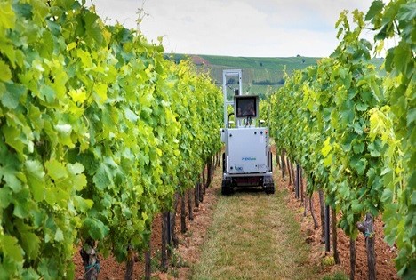 BMLEH fördert Projekte zu Robotik und Automatisierung in der Landwirtschaft