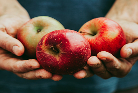 Tag des Deutschen Apfels erobert den Himmel über Dresden mit einer Drohnenshow