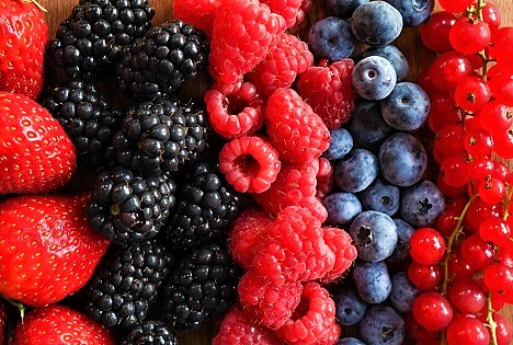 Schweiz: Beeren Boomen- Süsse für den Sommer