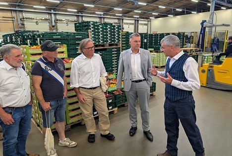 Reichenau-Gemüse: Fokus auf wirtschaftliche Rahmenbedingungen der Gemüseproduktion