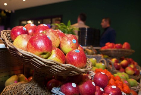 NL: Obstbauern treffen die Zukunft auf Rekordausgabe der Fachmesse „Dé Fruitteelt Vakbeurs“
