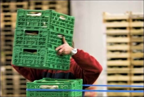 DFHV: Webinar - „Das 1x1 der Warenkontrolle“