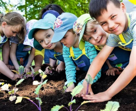 Wissen, das Wurzeln schlägt: EDEKA Stiftung bringt wieder Gemüsebeete in Deutschlands Kitas