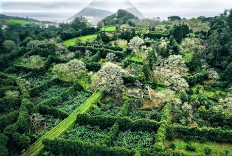 EuRH: Agrarförderung für Übersee-Regionen der EU muss auf den Prüfstand