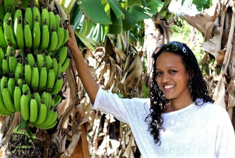 EuRH: Wie wirksam ist die EU-Unterstützung für die Landwirtschaft in den Gebieten in äußerster Randlage der EU?