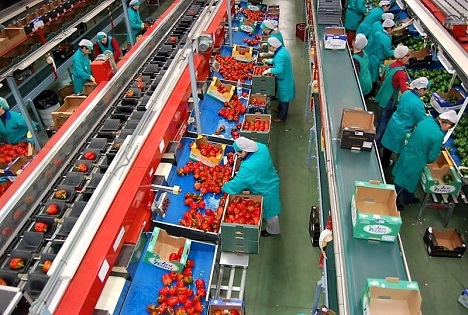 Spanien: Herausforderung in dem Obst- und Gemüsesektor durch Fehlzeiten