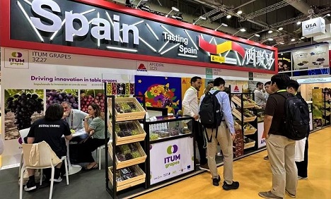 FEPEX: Asiatischer Markt bleibt für spanische Obst- und Gemüseunternehmen attraktiv