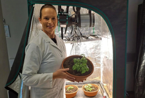 Forschung: Die Pflanzengesundheit durch den Einsatz hochwertiger Nährstoffe stärken