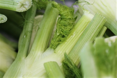 Schweiz: Fenchel - Stabile Inlandproduktion