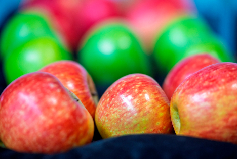 Obstbau zwischen Marktdruck und Zukunftsstrategie