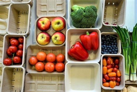 Fruit Logistica European Statistics Handbook 2026