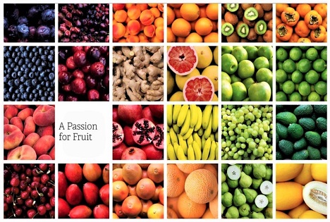 Global Fruit Point setzt Zeichen gegen Lebensmittelverschwendung