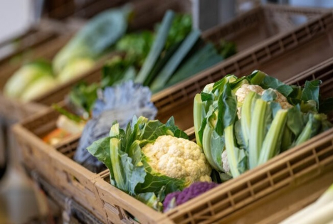 HMLU: Regionale Ernährung - Ehrenamtlicher Einsatz für regionale Lebensmittel