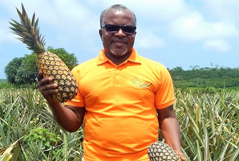 Fruit Attraction: Import Promotion Desk präsentiert breites Angebot aus Afrika und Südamerika