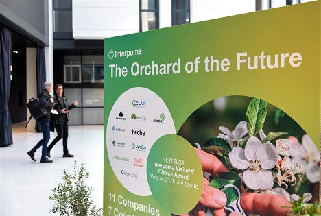 Interpoma 2026: Im Orchard of the Future nimmt die Apfelwiese der Zukunft Form an