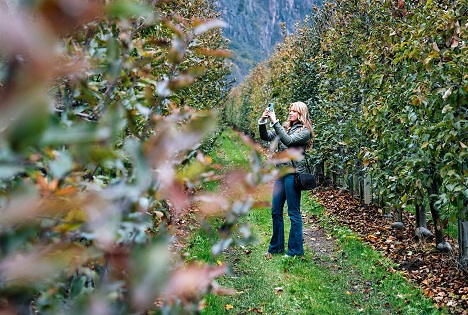 Interpoma Tours 2026: Innovation im Feld