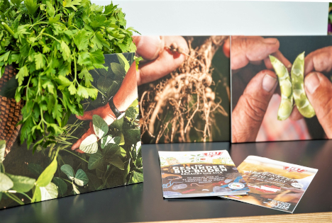 Ja! Natürlich zeigt, warum Bio-Edamame aus Österreich mehr als ein Trendprodukt sind