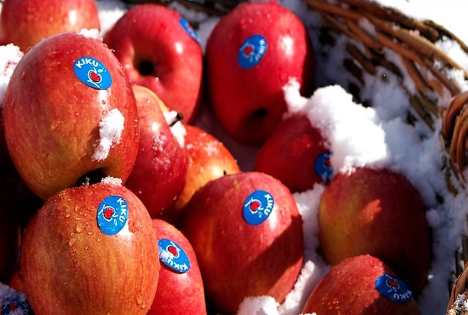 KIKU wächst mit kroatischer Erzeugerorganisation Domaće Voće