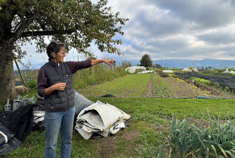 Schweizer Höfe im europäischen Netzwerk der regenerativen Landwirtschaft