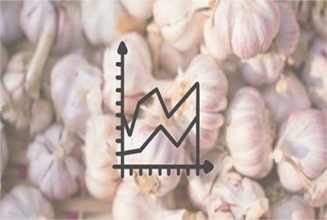Schweizer Knoblauch in Zahlen