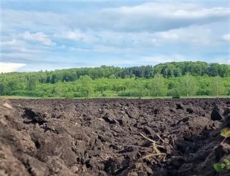 Schweiz: PFAS im Boden - Das Problem liegt fast überall unter unseren Füssen