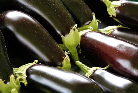 Auberginen - Mediterranes Flair aus Schweizer Anbau