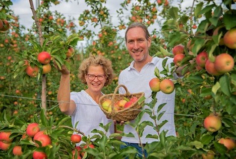 LK OÖ: Oberösterreichische Birnen und Äpfel gewinnen an Beliebtheit