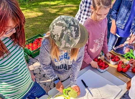 Landgard Stiftung: Aktionstag „Unser Schulgarten“ 2026 - Spaß am Gärtnern wecken