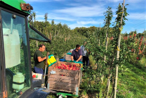 Landvolk: Mindestlohn - Sonderregelung für Saisonarbeitskräfte ist zulässig
