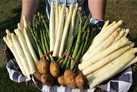 Landvolk: Gutes von vor Ort - Regionale Produkte bereichern die Ostertafel