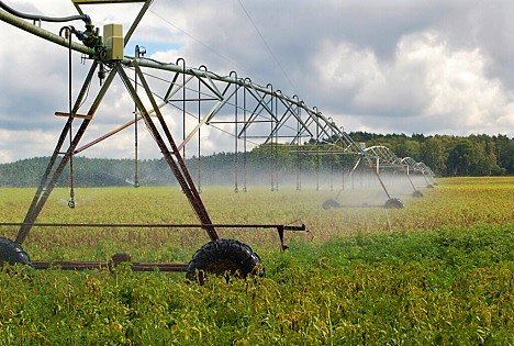 Wenn das Grundwasser zu knapp ist: Landwirte in Nordostniedersachsen planen große Wasserspeicher