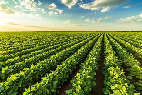 Lidl belegt in Deutschland erneut die Spitzenposition auf der 