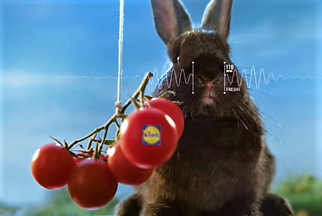 Obst und Gemüse: Lidl stellt Frische unter Beweis