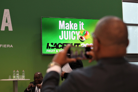 „Mango- und Avocado-Explosion“-Seminar: Wachstumspotenziale im Süden Italiens