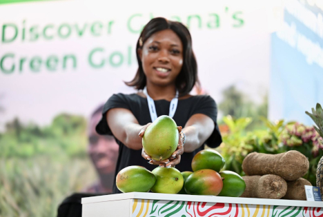 Macfrut erweitert globale Präsenz durch internationale Missionen