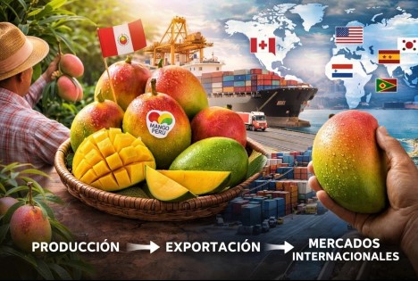Analyse und Überlegungen zur Internationalisierung der peruanischen Mangoindustrie