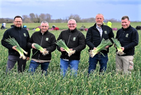 Gemüsegarten Pfalz: Bundzwiebel-Ernte – Erstes Frischgemüse der neuen Freiland-Saison